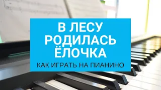 В лесу родилась ёлочка на пианино. Как играть на пианино "В лесу родилась ёлочка"