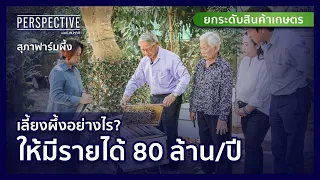 "สุภาฟาร์มผึ้ง" เลี้ยงผึ้งอย่างไรให้มีรายได้ 80 ล้านบาท | PERSPECTIVE [19 ก.พ. 66]