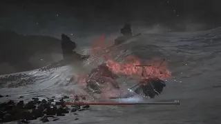 5X Sister Friede vs Slave Knight Gael (Reupload)