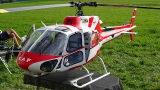 A Masterpiece Turbine Ecureuile AS350 B3 Scale RC Helicopter Ultra Cockpit details