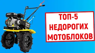 ТОП-5. Лучшие недорогие мотоблоки. Рейтинг бюджетных моделей