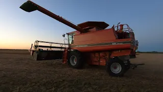 She May Be Old, But She's Still Putting in Long Days | Case IH 1660 | Harvest 2020