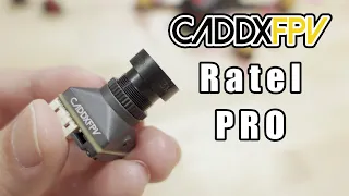 Caddx Ratel PRO Analog FPV Camera Review 📷