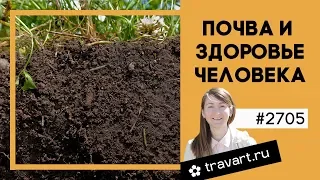 Польза дождевых червей. Как повысить плодородие почвы. ТРАВАРТ 2705