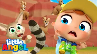 Animals at the Grand Canyon | Camping Song | Kids Cartoons and Nursery Rhymes