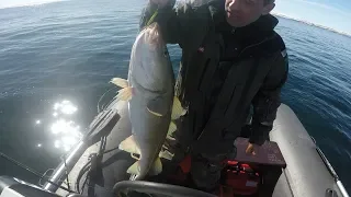 Баренцево море / Рыбалка  / Barents sea / Fishing