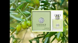 Versace Versense Версаче Версенс #парфюмерия #лучшиеароматы #люкс #обзор #парфюм #asmr #versace