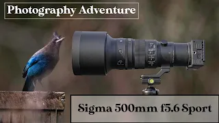 Sigma 500mm F5.6 DGN DN OS Sport - Photography Adventure