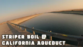 Striper Fishing At The California Aqueduct In Los Banos California | ITGETSREEL Episode 68