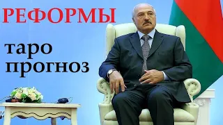 ТАРО. Обещания Лукашенко. Реформы в конституции / в экономике.