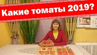 Низкорослые томаты 2019. Мой выбор