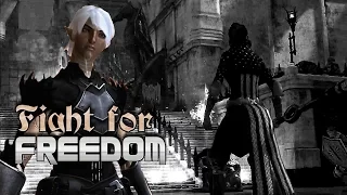 OLDIE | DA: Origins ~ 2 | Fight For Freedom (Fenris x F!Hawke) | The Nightingale