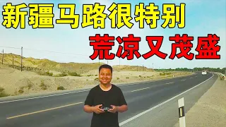 河南小伙穷游新疆，为什么新疆马路一面荒凉一面茂盛，到底怎么形成的【穷游的似水年华】