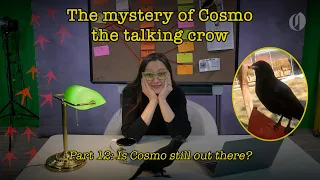 Is Cosmo the talking crow still out there? | Pt. 12