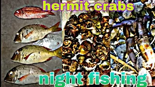 pinaka-mabisang pain sa Gabi. #hermitcrab, #umang, #nightfishing