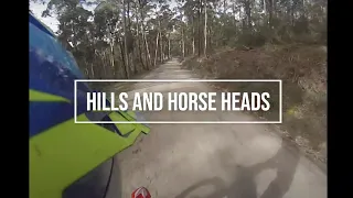 Hills and HorseHeads || Beta Xtrainer