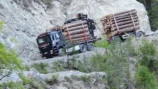 Holztransport im Tegestal /  Tarrenz