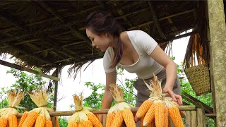 NEW DAY Harvest old corn to dry - Clean the FARM and take care of the chicks | Ngân Daily Life