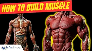 THE 4 Ways To Build Muscle Revealed By Gym ADDICT Doctor