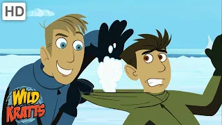 Winter Adventures Part 1 | Happy Holidays! | Wild Kratts