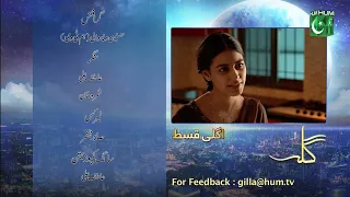 Gila Ep 30 Teaser [ Wahaj Ali - Anzela Abbasi ] Best Pakistani Serial - HUM TV