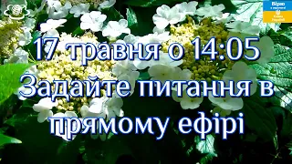 17 травня о 14:05 Задайте питання в прямому ефірі