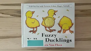 Fuzzy Yellow Ducklings