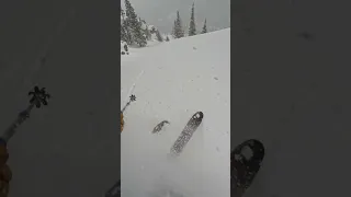 Skiing a fun lil powder chute #jacksonhole #backcountryskiing #snowing #powder #skiing