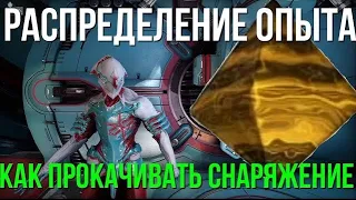 Гайд по прокачке снаряжения. Синтез и как он распределяется.