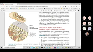 Video conferencia Biología sección 1101 miércoles 03 de noviembre de 2021