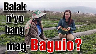 Baguio trip, destinations and idea sa gastos/ Best Finds TV