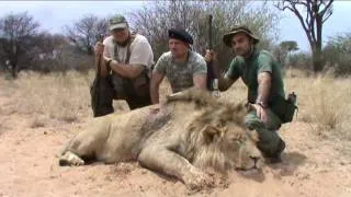 South Africa 2011 lion hunt - охота на льва ЮАР 2011