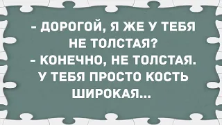 - Дорогой, я же у тебя не толстая? Сборник свежих анекдотов! Юмор!