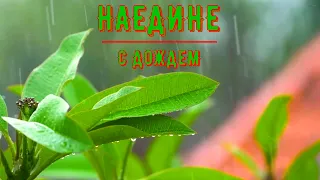 ~НАЕДИНЕ С ДОЖДЕМ~ALONE WITH THE RAIN~Романтическая музыка для души.