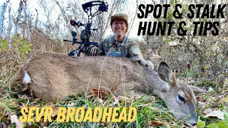 SPOT & STALK BOW HUNT: Sevr Broadhead/Blood Trail & Stalking Tips