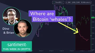 What does BTC 'need' for another ATH push? (This Week in Crypto - May 7th)