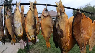 Рыба Сухого Посола Копчение Рыбы Холодным Копчением