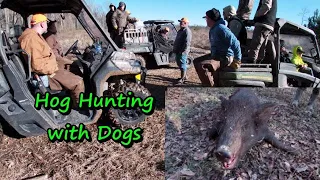 Hunting Wild Hogs with dogs/Hunting Wild Hogs with a knife/ South Carolina Hog Hunting