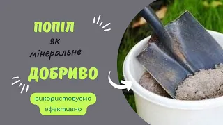 Як використовувати попіл у якості добрива.