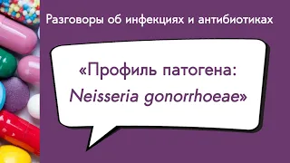 Профиль патогена: Neisseria gonorrhoeae