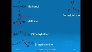 Single-carbon (C1) metabolism in Microbial Ecology