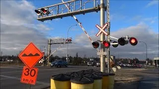 Idiots Vs. Rails: People Ignoring Railway Signals and Beating Trains to Save a Few Minutes