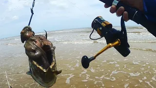 This is Why You Throw BIG BAITS In the Surf!