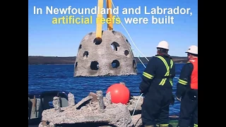 New artificial reefs for cod and lobster