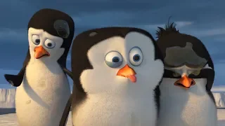 DreamWorks Madagascar en Español Latino | Eso es asqueroso | Clip de Los Pingüinos de Madagascar