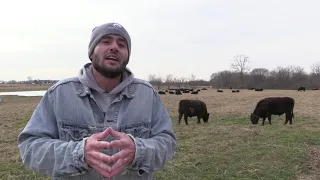 Part 1: Humane Harvesting - Grassfed Beef Buying Guide