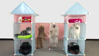 How To Build Twin Towers For Pomeranian Puppies Kitten - DIY Dog House Home Decor Ideas | MR PET #76