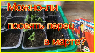 Можно-ли сеять перец в марте? Отвечу на этот вопрос