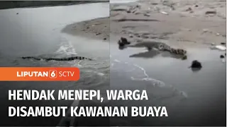 Ngeri! Hendak Menepi Usai Menyeberang, Warga Justru Disambut Kawanan Buaya! | Liputan 6