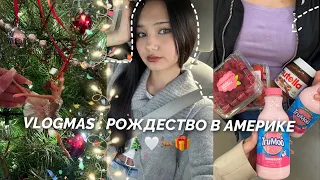 VLOGMAS : РОЖДЕСТВО В АМЕРИКЕ 🇺🇸 | ПОЕЗДКА В КОЛОРАДО | ДАРИМ ПОДАРКИ 🎁